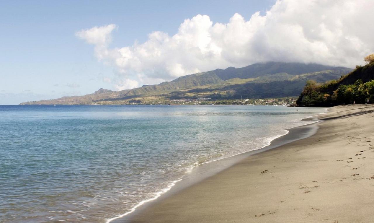 Imagine972 Martinique Bateau Hotel A Quai Le Marin 3 Cabines 3 Salles De Bains 6 Pers Maxi מראה חיצוני תמונה